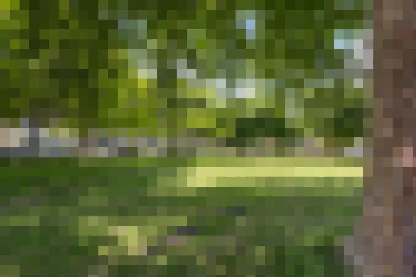 Dovenetelweg 20 Zaandam thumbnail 55