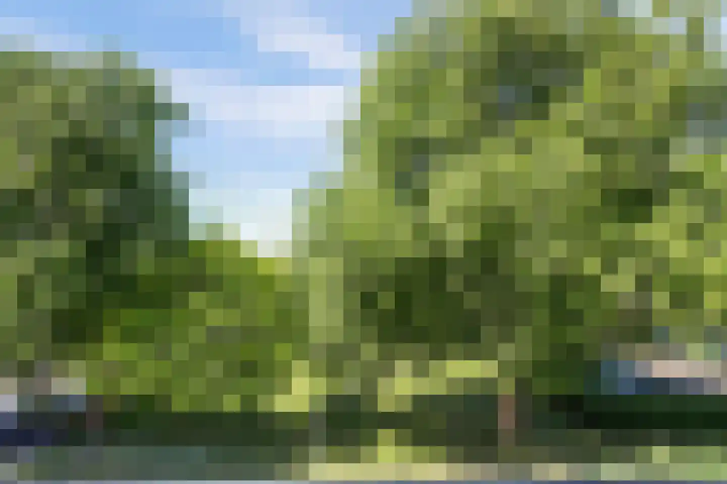 Dovenetelweg 20 Zaandam thumbnail 56