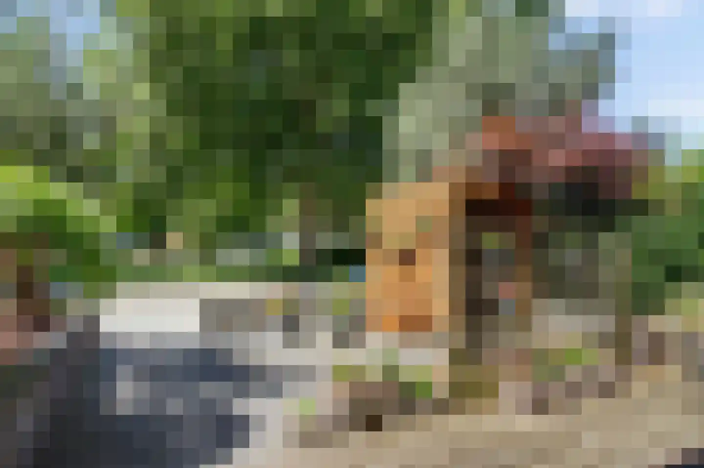 Dovenetelweg 20 Zaandam thumbnail 6
