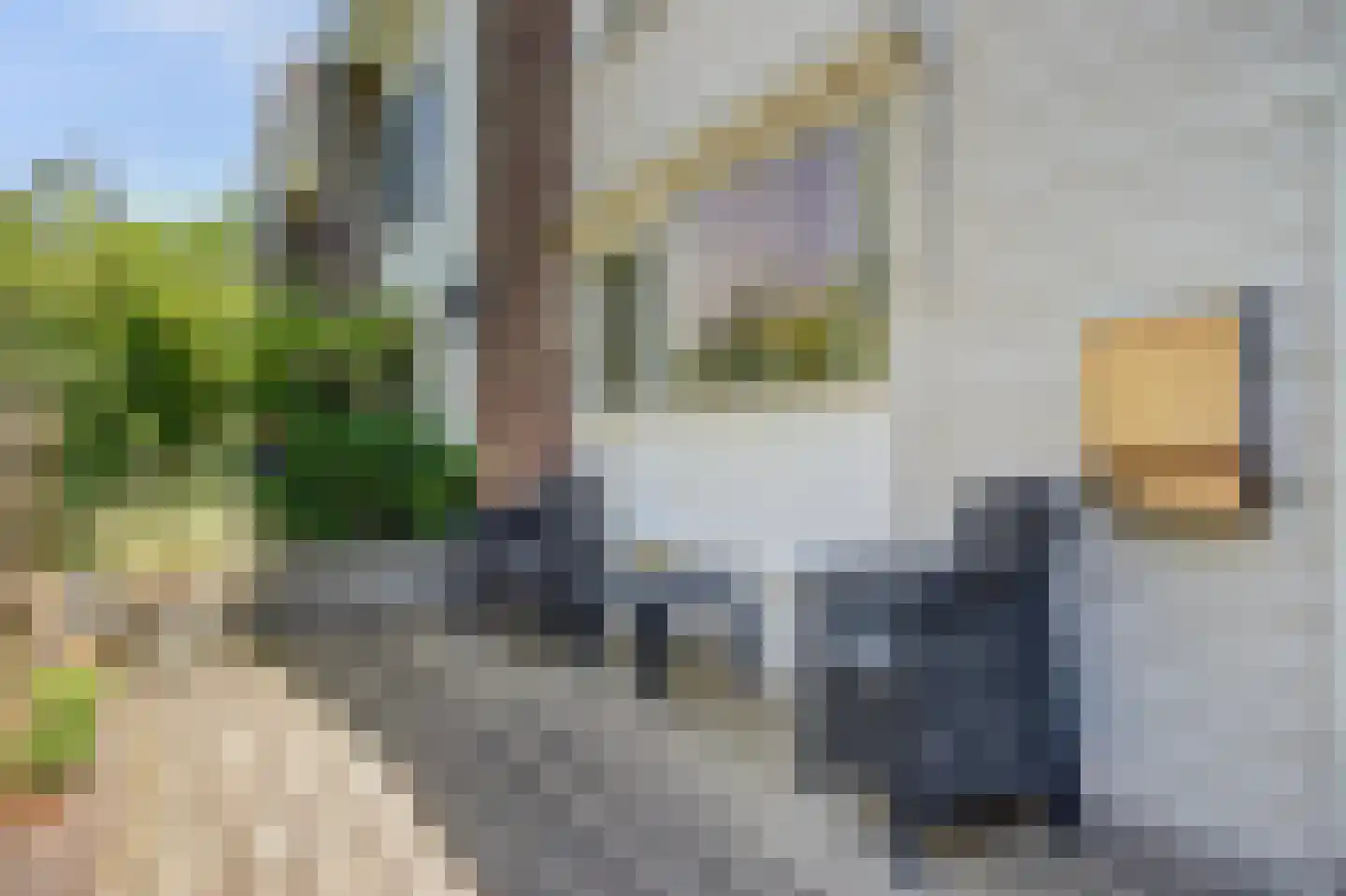 Dovenetelweg 20 Zaandam thumbnail 7