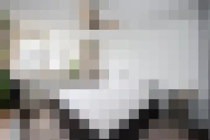 Dovenetelweg 5 Zwolle thumbnail 13