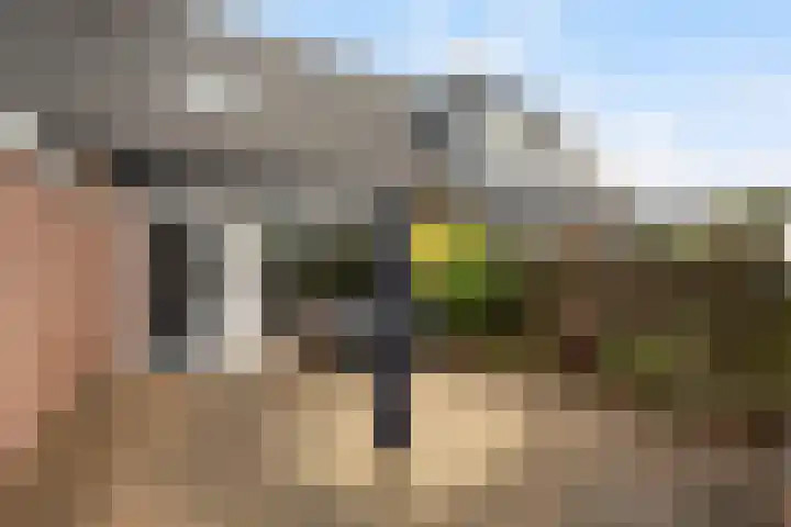Dovenetelweg 5 Zwolle thumbnail 22