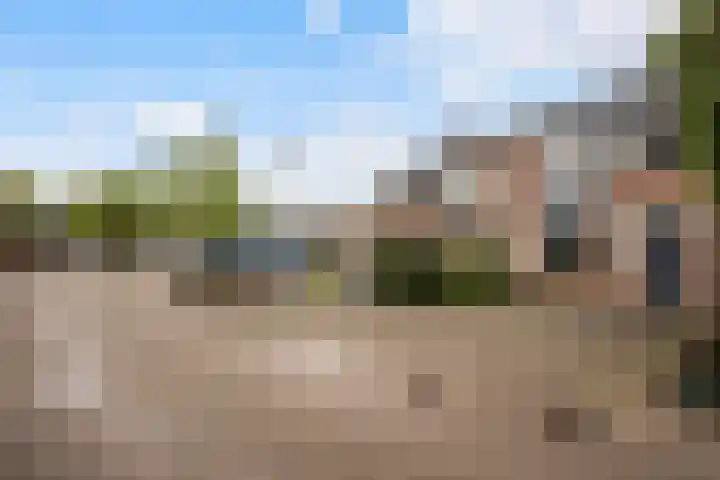 Dovenetelweg 5 Zwolle thumbnail 25