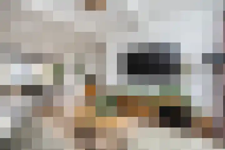 Dovenetelweg 5 Zwolle thumbnail 4