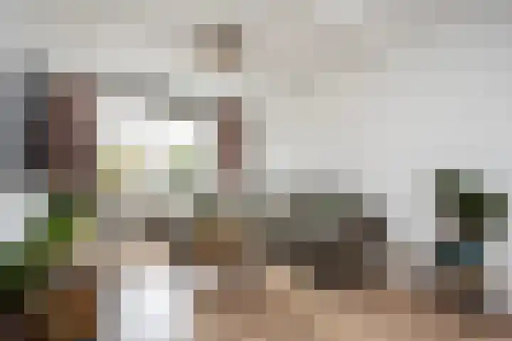 Dovenetelweg 5 Zwolle thumbnail 5