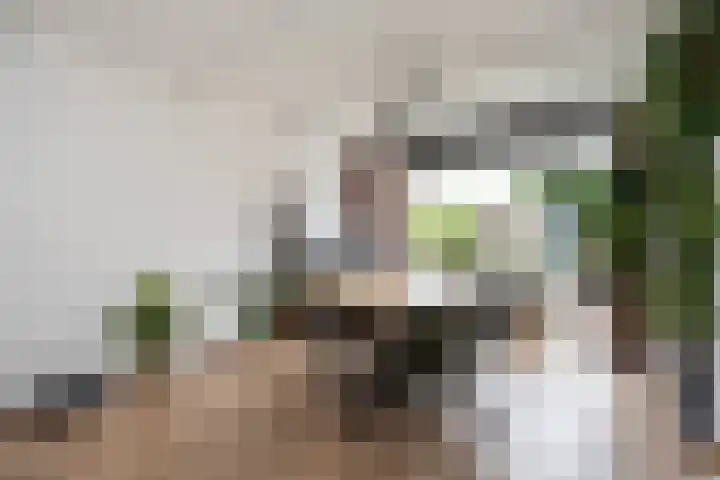 Dovenetelweg 5 Zwolle thumbnail 6