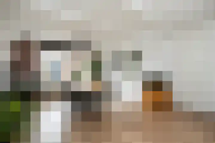 Dovenetelweg 5 Zwolle thumbnail 7