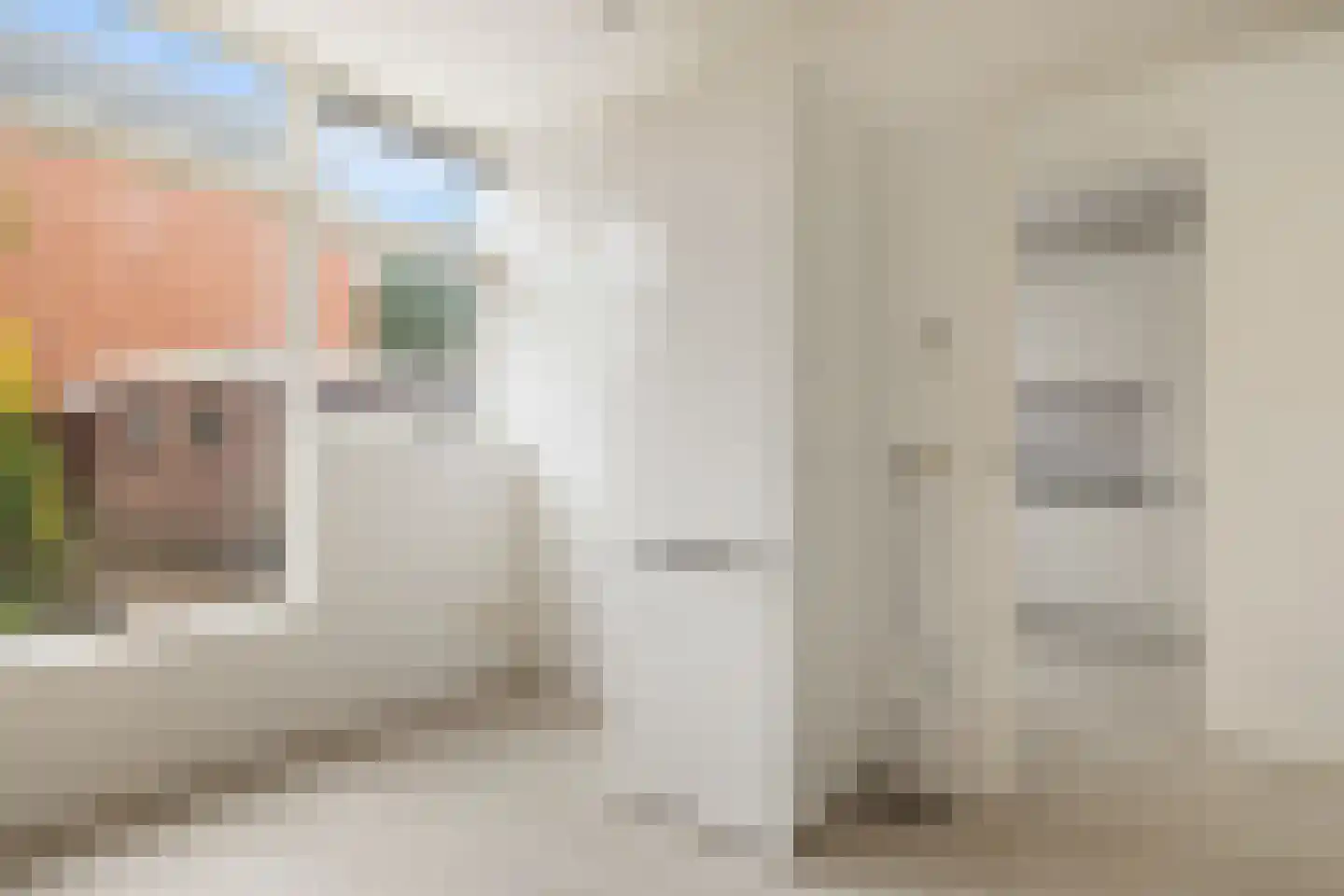 Dovenetelweg 69 Zaandam thumbnail 13