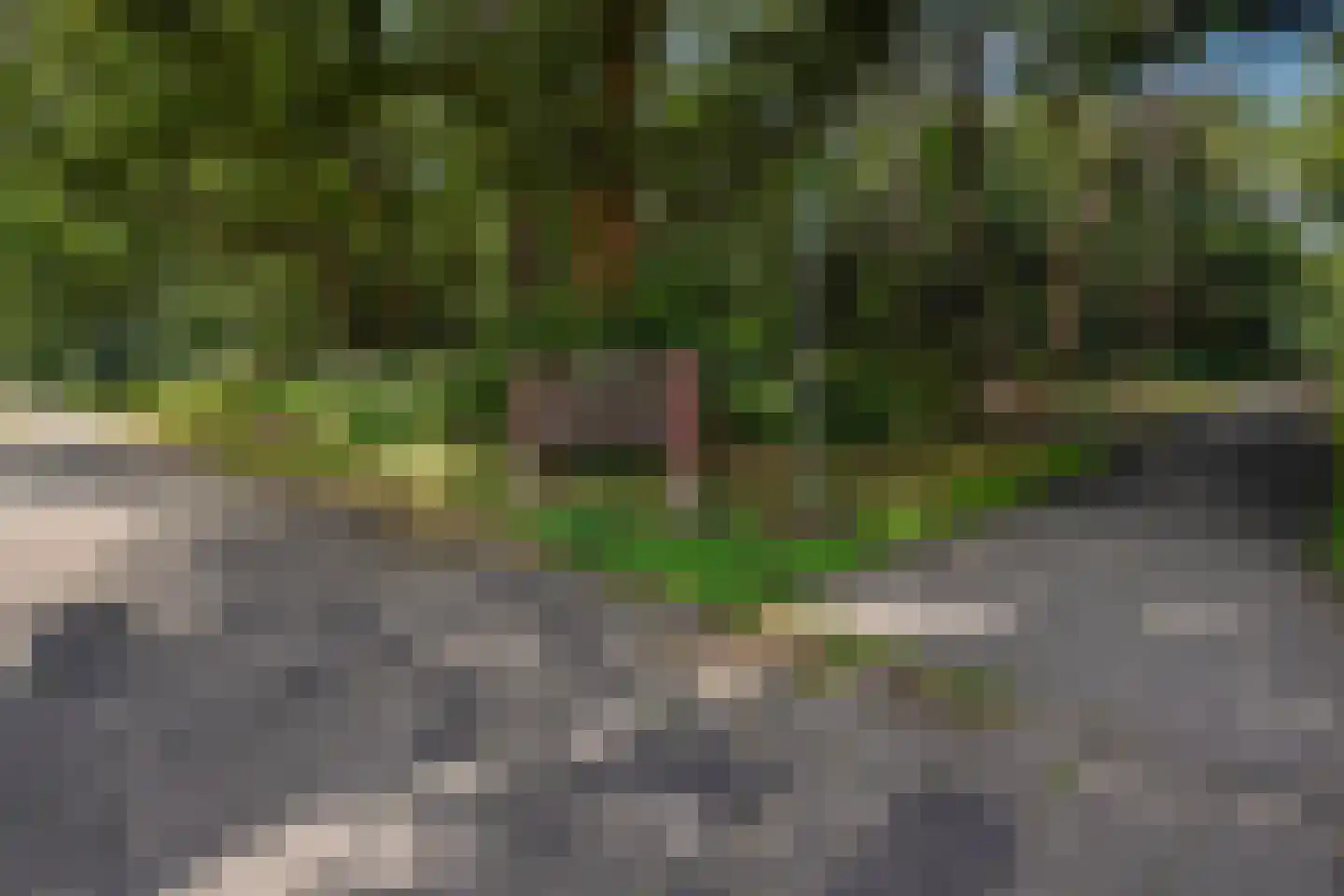 Dovenetelweg 8 Den Haag thumbnail 69