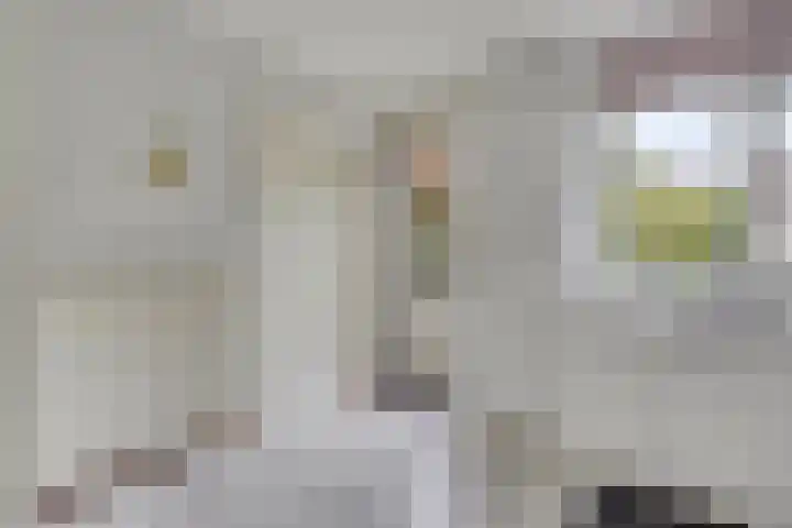 Dovenslaan 8 Nuenen thumbnail 10