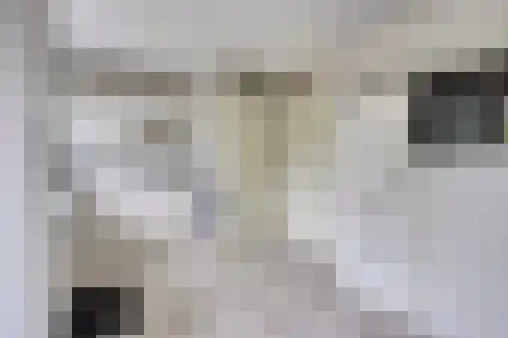 Dovenslaan 8 Nuenen thumbnail 11