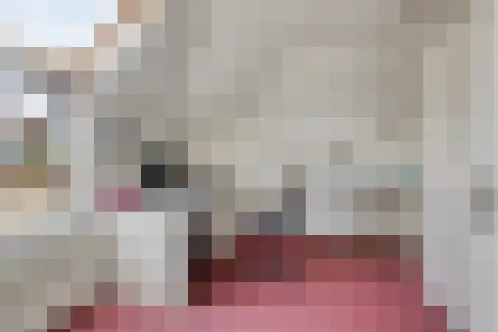 Dovenslaan 8 Nuenen thumbnail 16
