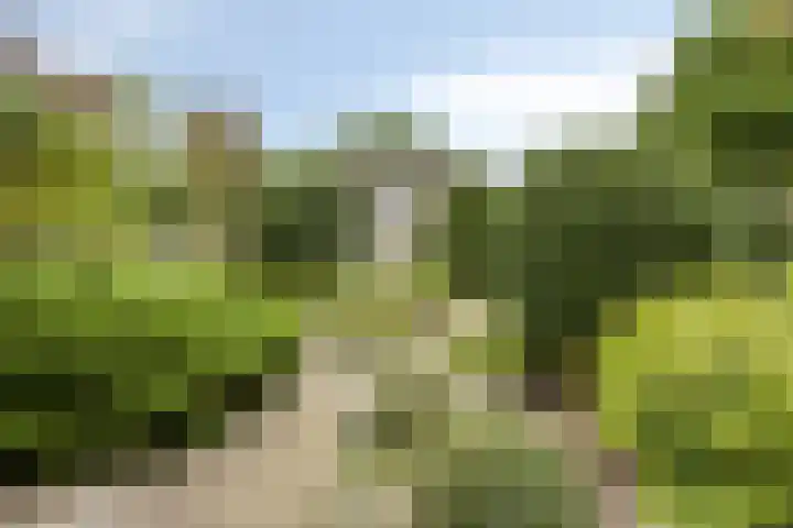 Dovenslaan 8 Nuenen thumbnail 21
