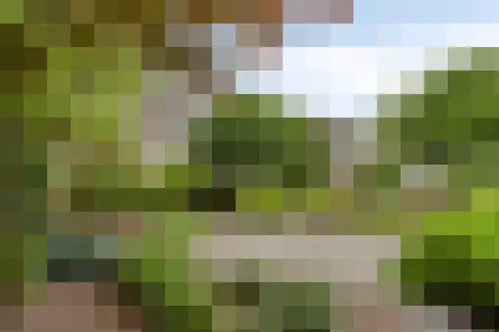 Dovenslaan 8 Nuenen thumbnail 22