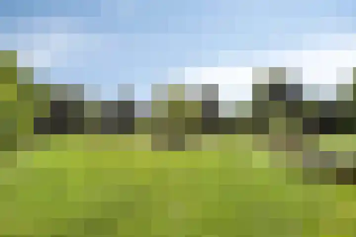Dovenslaan 8 Nuenen thumbnail 25