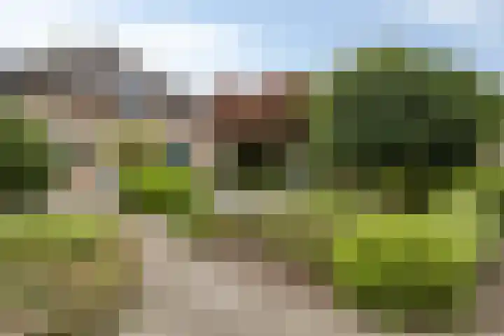 Dovenslaan 8 Nuenen thumbnail 4