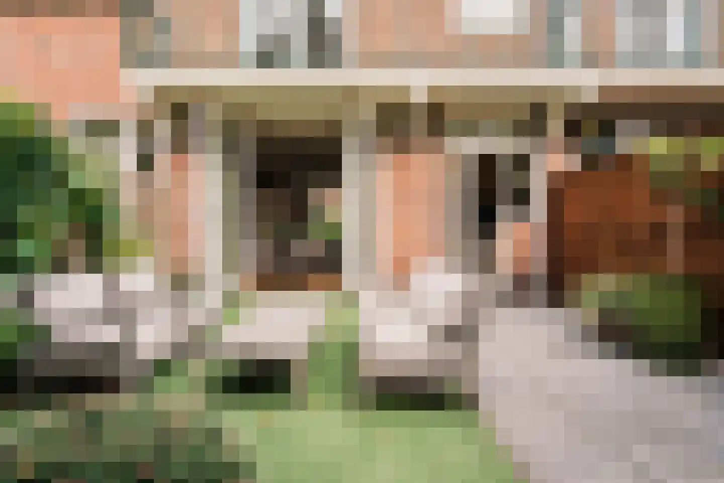 Doverstraat 11 Haarlem thumbnail 20