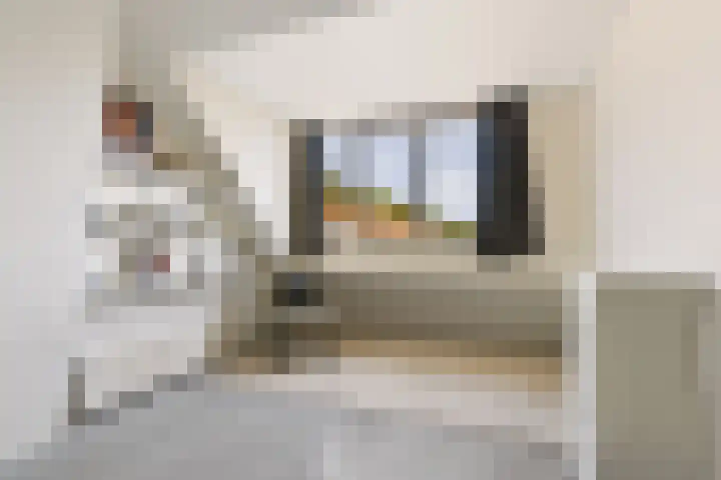 Doverstraat 6 Haarlem thumbnail 22