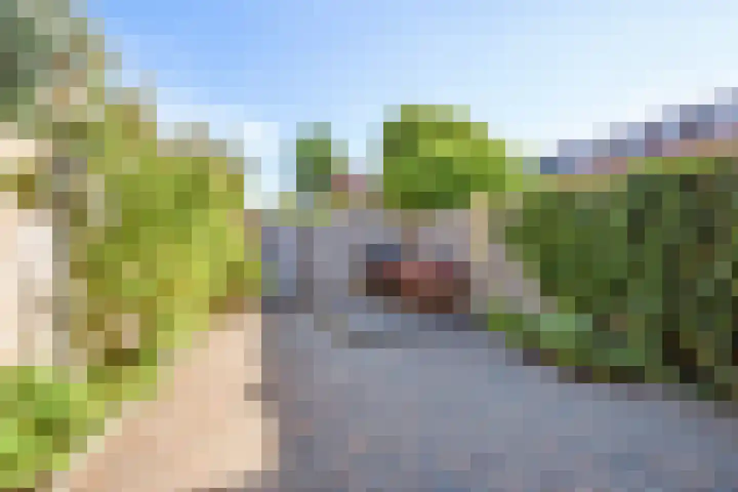 Doverstraat 6 Haarlem thumbnail 26