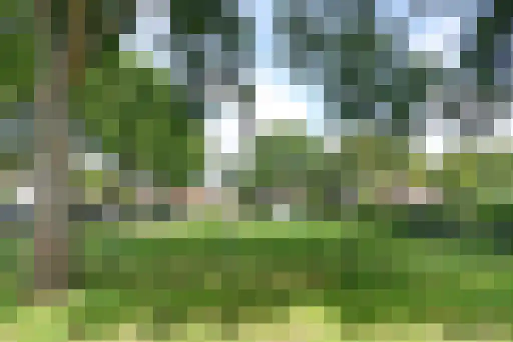 Doverstraat 6 Haarlem thumbnail 33