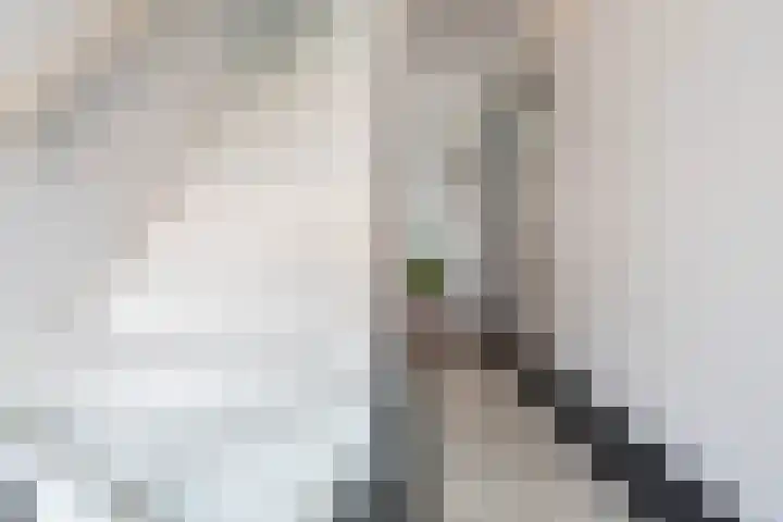 Doverstraat 9 Haarlem thumbnail 20