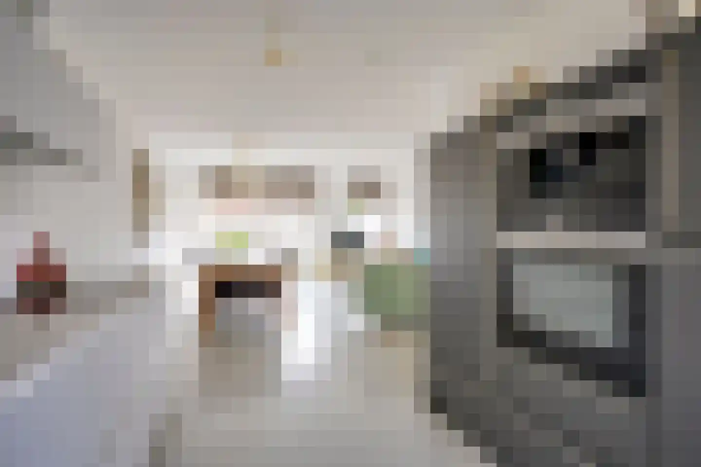 Doyennéperenlaan 66 Vleuten thumbnail 21