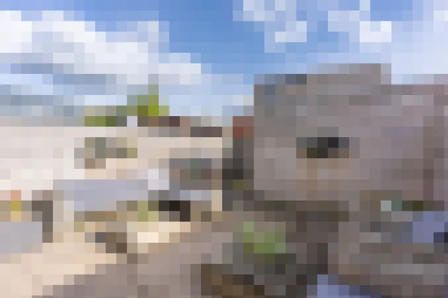 Doyennéperenlaan 66 Vleuten thumbnail 24