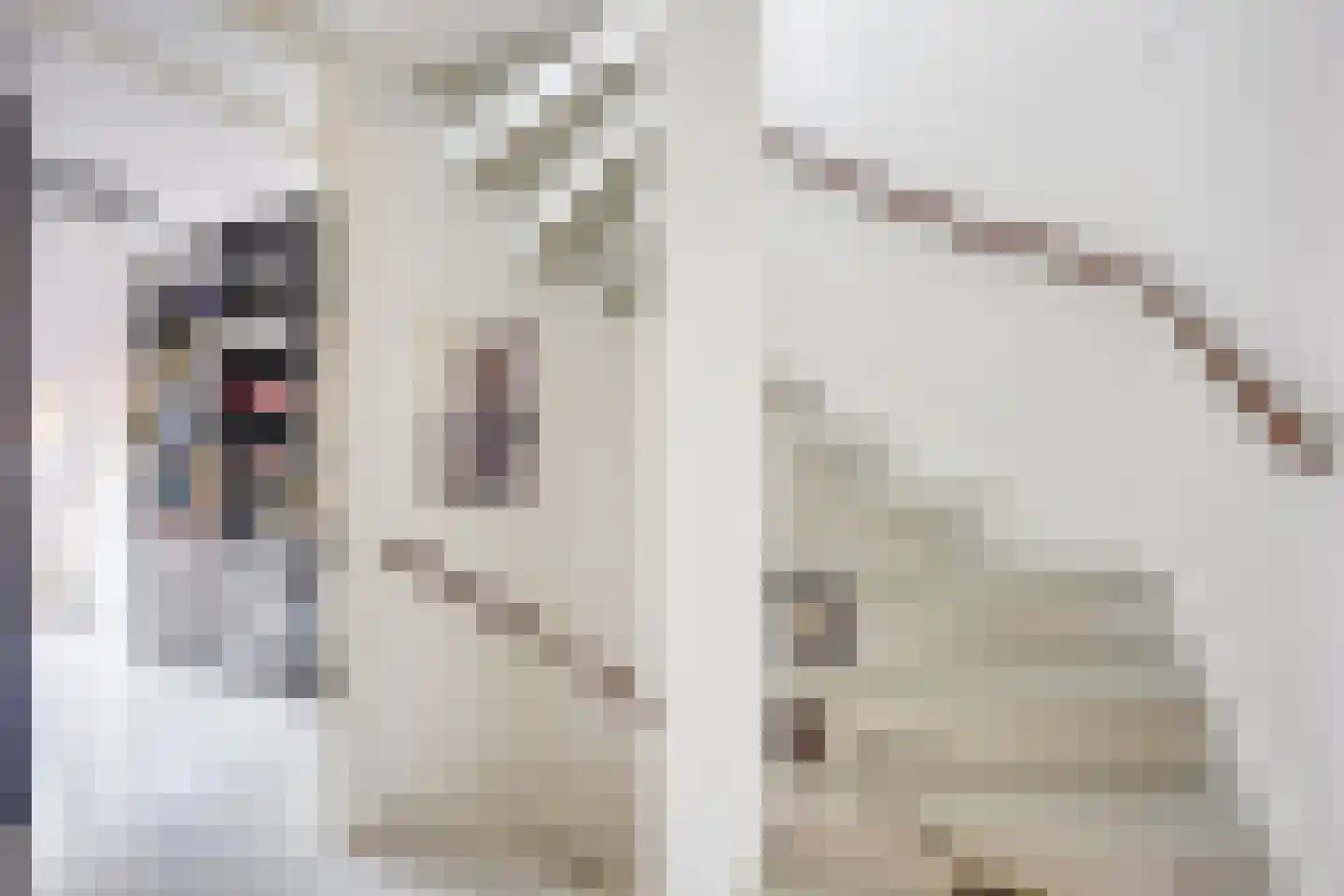 Doyennéperenlaan 66 Vleuten thumbnail 28
