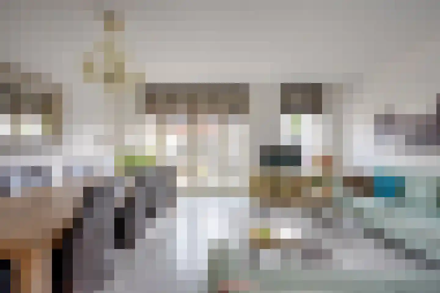 Doyennéperenlaan 66 Vleuten foto 3