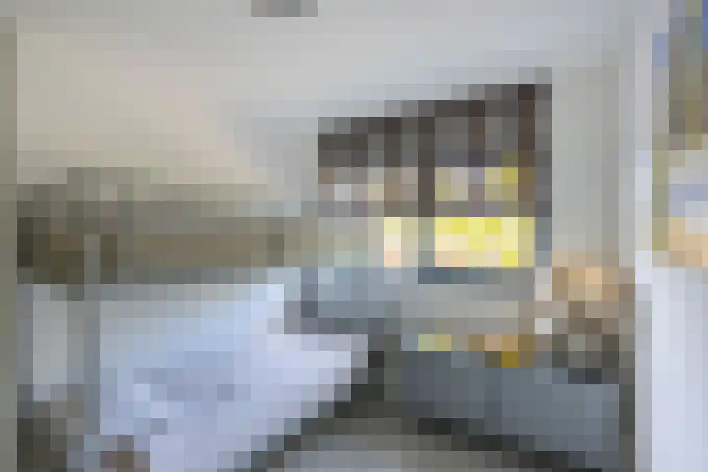 Doyennéperenlaan 66 Vleuten thumbnail 36
