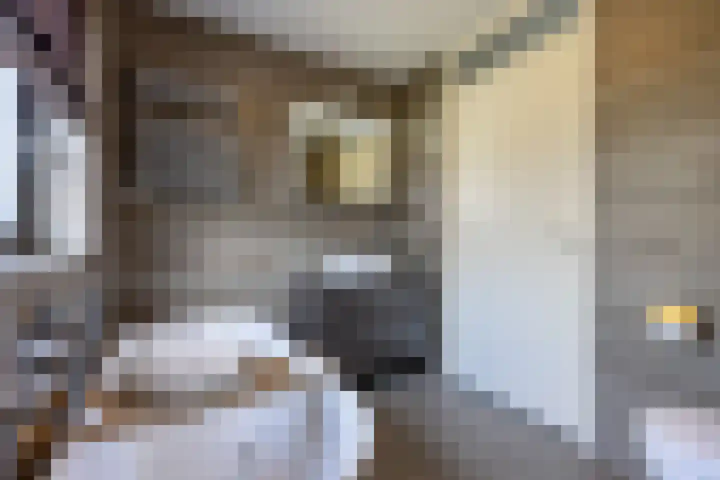 Doyennéperenlaan 66 Vleuten thumbnail 39