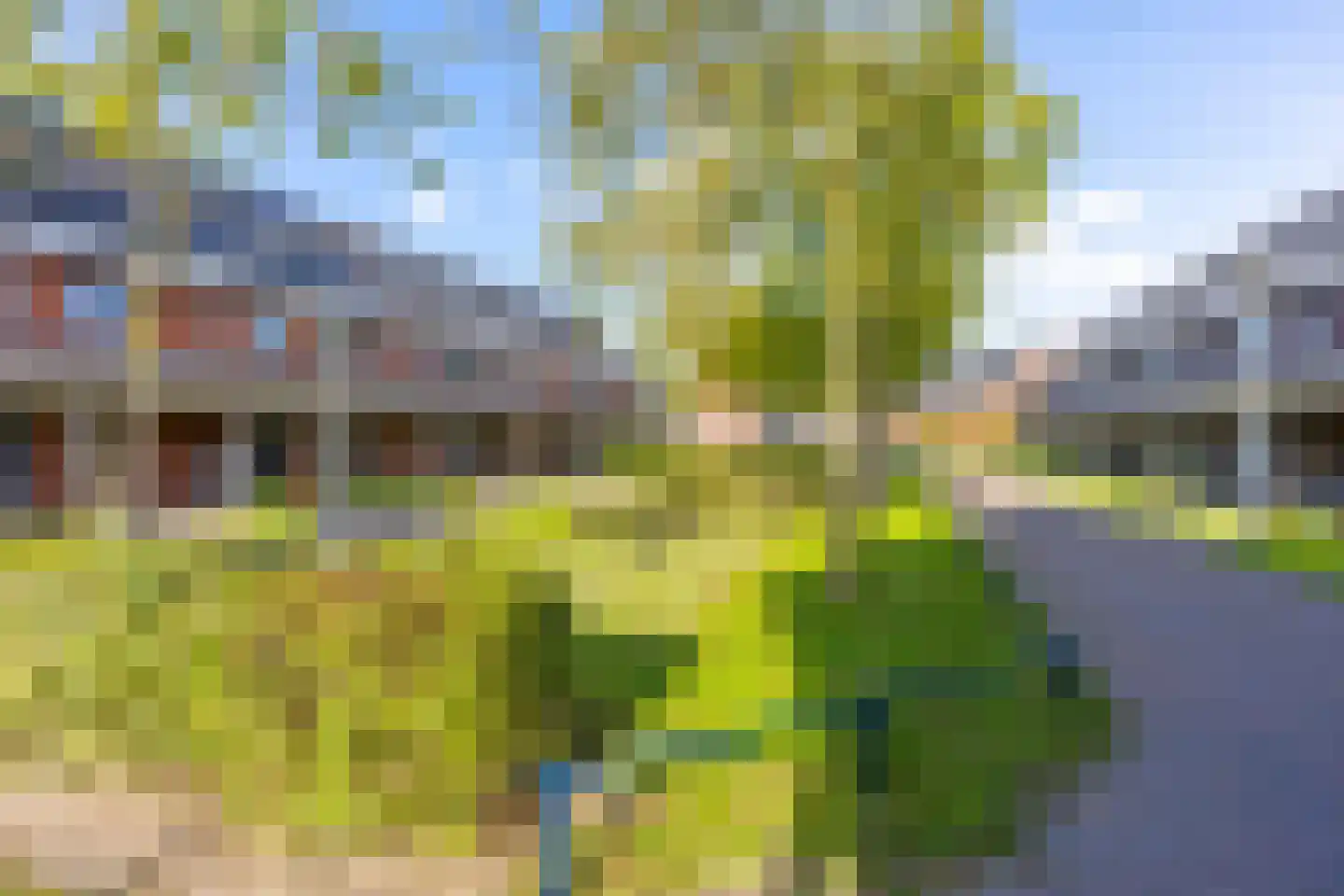 Doyennéperenlaan 66 Vleuten thumbnail 46