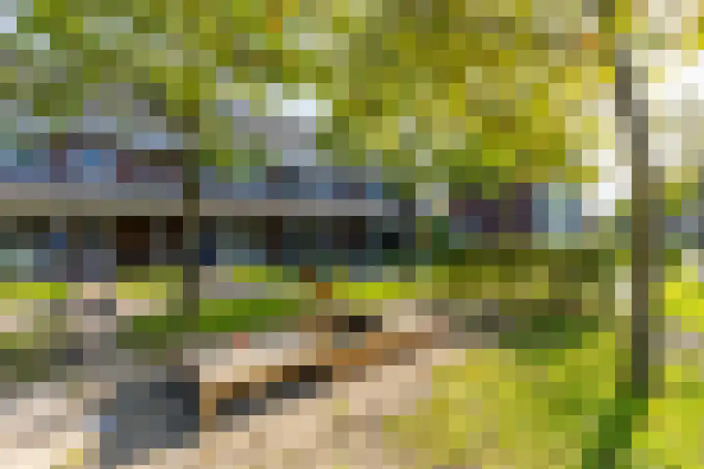 Doyennéperenlaan 66 Vleuten thumbnail 47