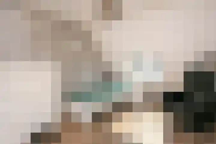 Doyennéperenlaan 68 Vleuten thumbnail 11