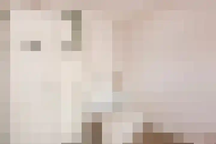 Doyennéperenlaan 68 Vleuten thumbnail 14