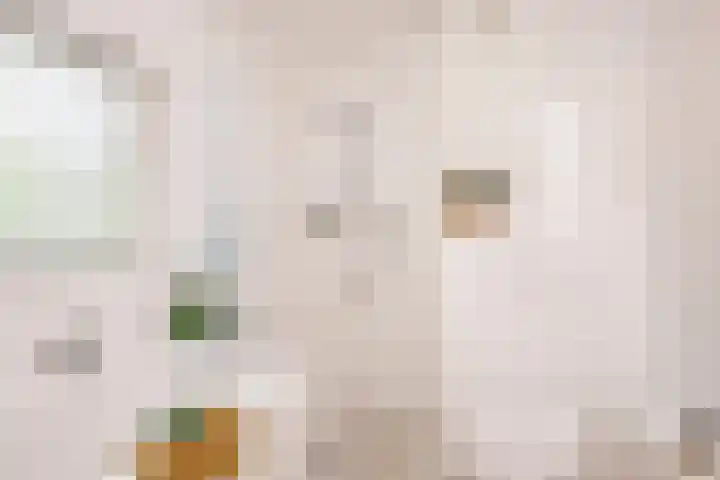 Doyennéperenlaan 68 Vleuten thumbnail 17