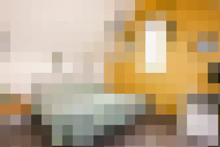 Doyennéperenlaan 68 Vleuten thumbnail 20