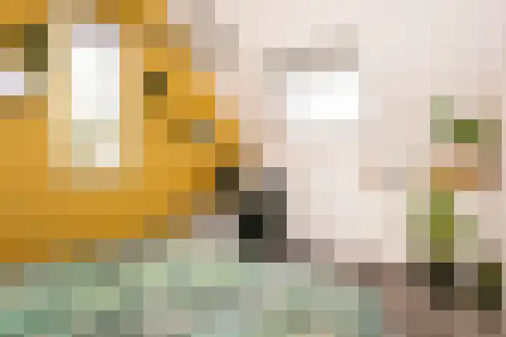 Doyennéperenlaan 68 Vleuten thumbnail 21