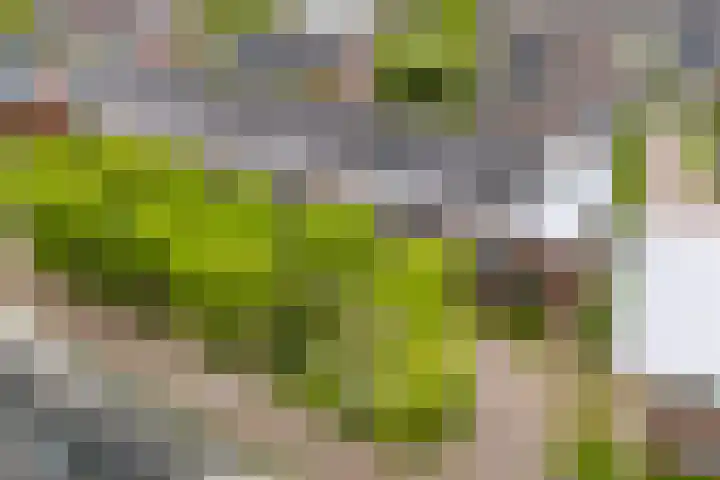 Doyennéperenlaan 68 Vleuten thumbnail 26