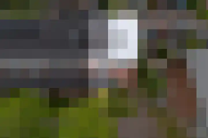 Doyennéperenlaan 68 Vleuten thumbnail 27