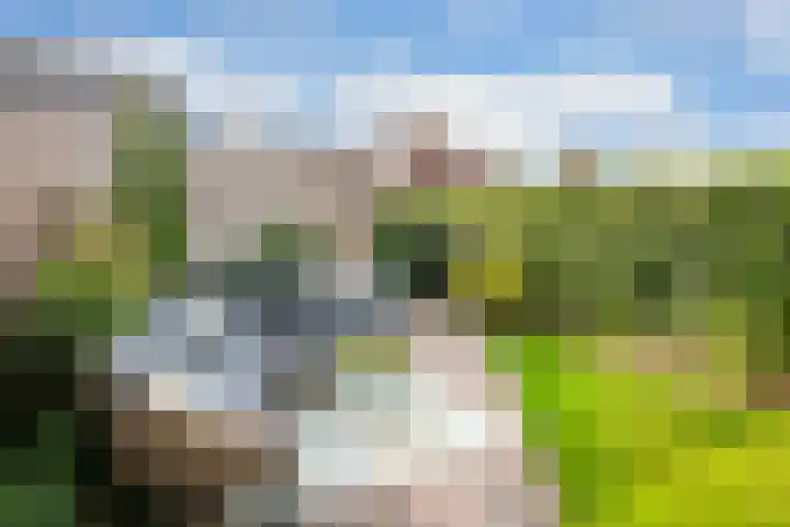 Doyennéperenlaan 68 Vleuten foto 3