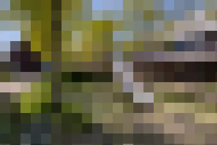 Doyennéperenlaan 68 Vleuten thumbnail 30