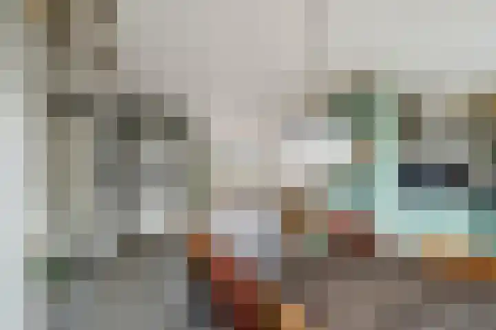 Doys van der Doesstraat 28 De Lier thumbnail 10