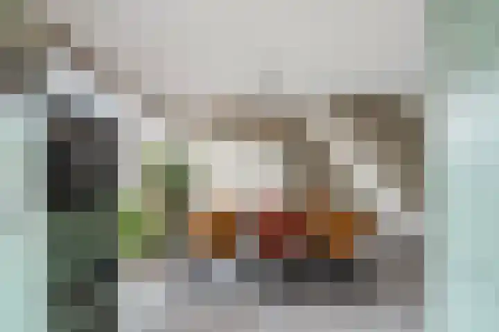 Doys van der Doesstraat 28 De Lier thumbnail 11