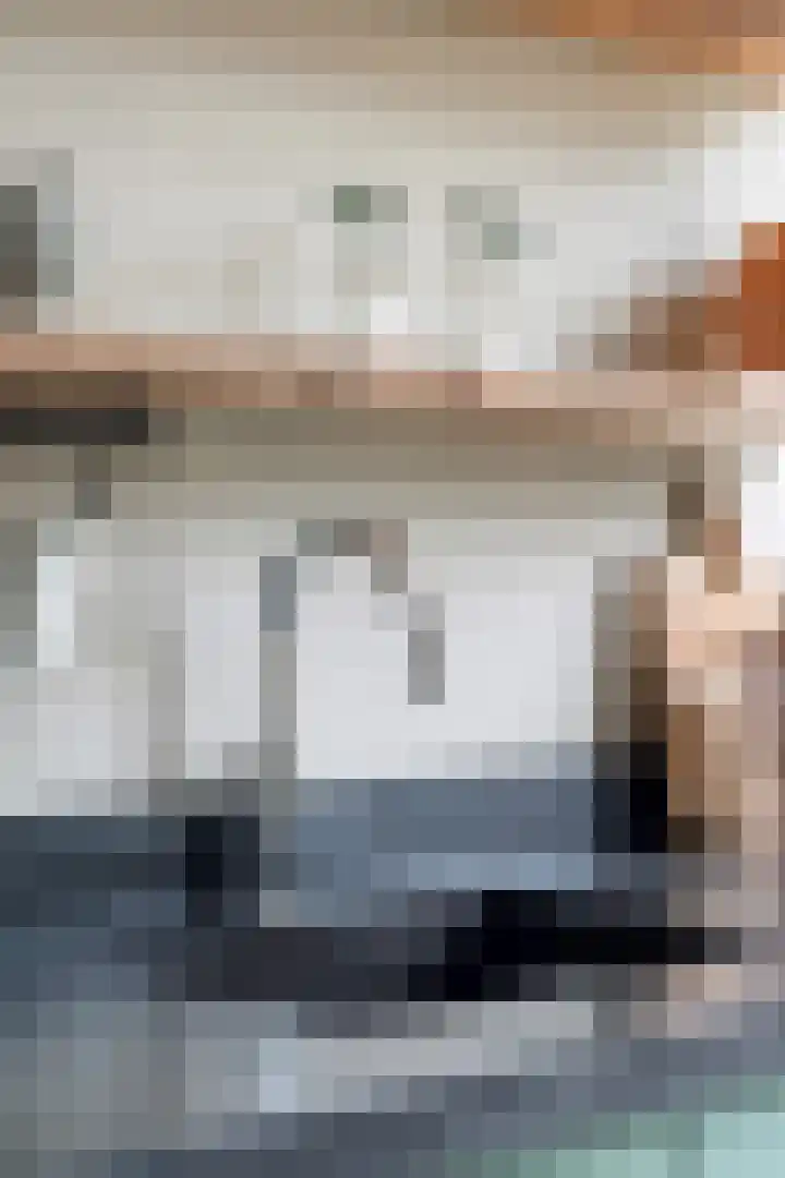 Doys van der Doesstraat 28 De Lier thumbnail 14