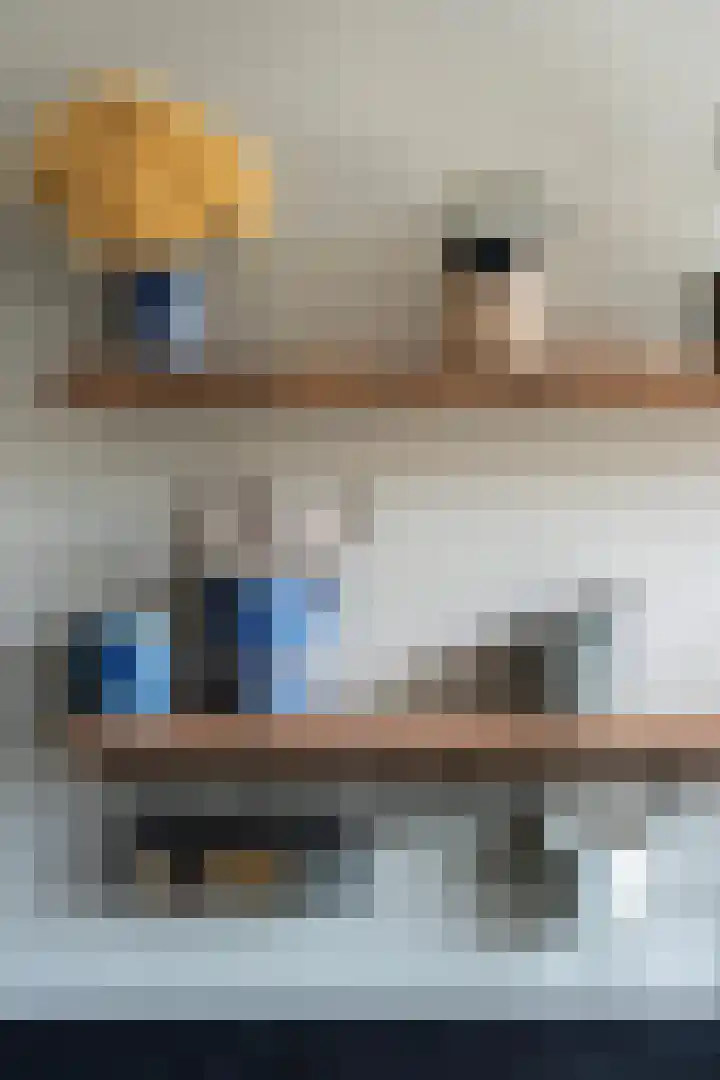 Doys van der Doesstraat 28 De Lier thumbnail 15