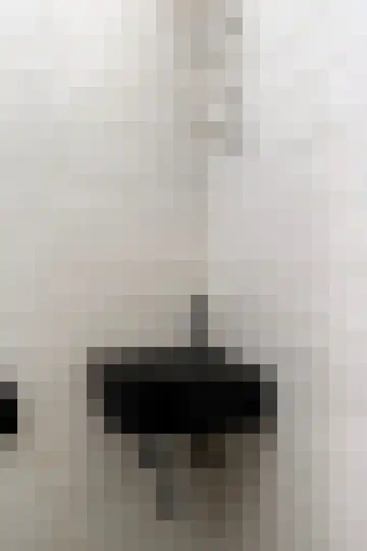 Doys van der Doesstraat 28 De Lier thumbnail 19