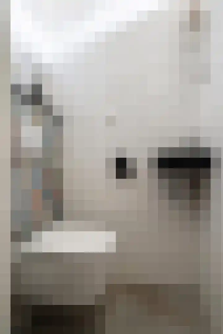 Doys van der Doesstraat 28 De Lier thumbnail 21