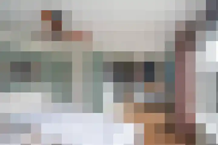 Doys van der Doesstraat 28 De Lier thumbnail 23