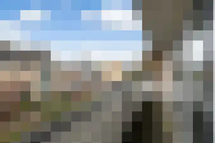 Doys van der Doesstraat 28 De Lier thumbnail 24